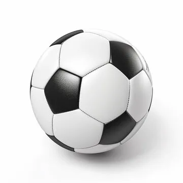 沙特阿拉伯国旗